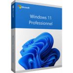Windows 11 Pro